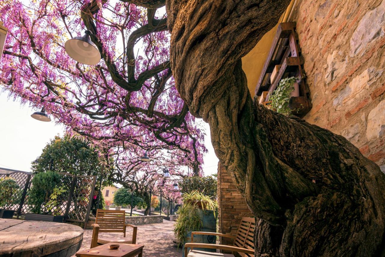 Il Glicine B&B Ristorante Cazzago San Martino Exterior photo